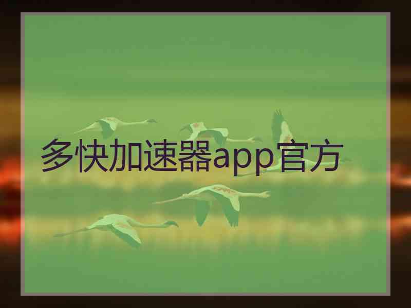 多快加速器app官方