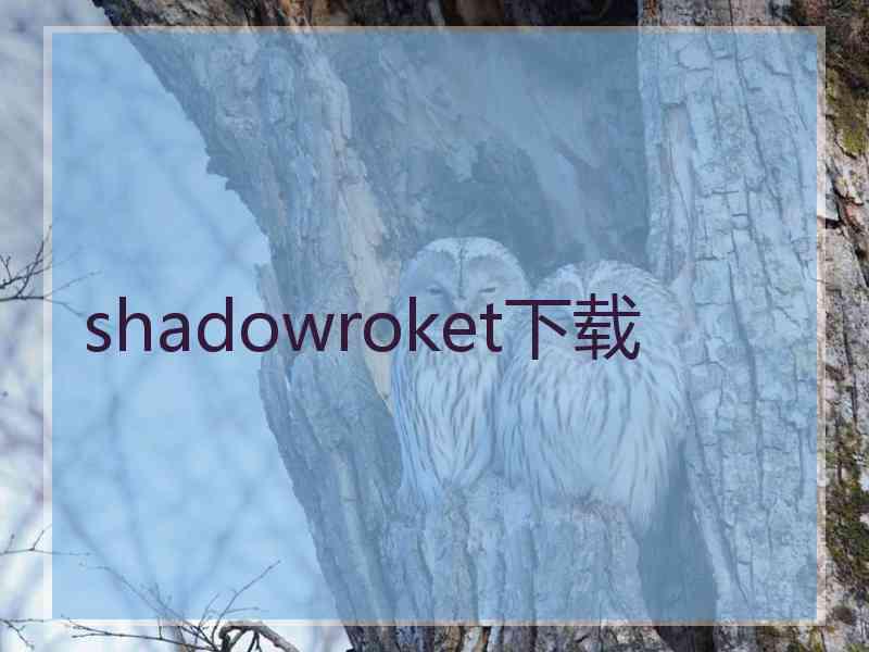 shadowroket下载