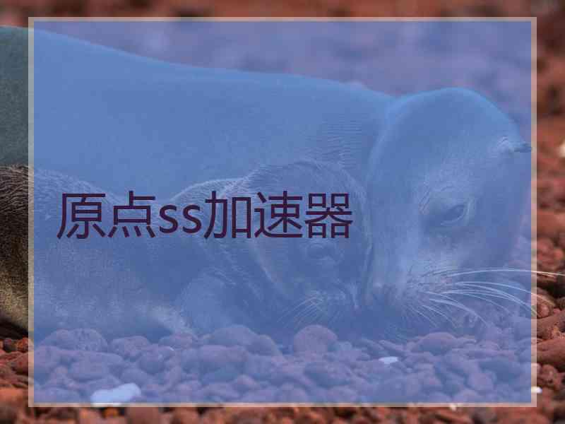 原点ss加速器