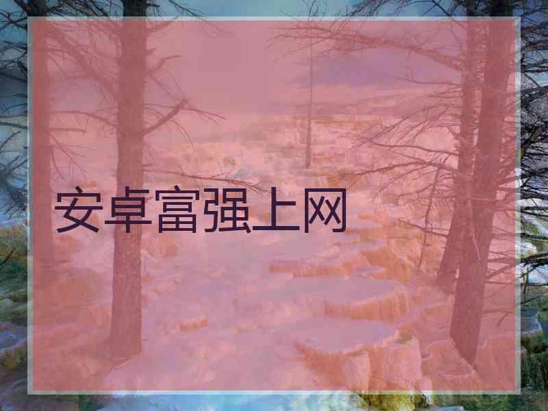 安卓富强上网
