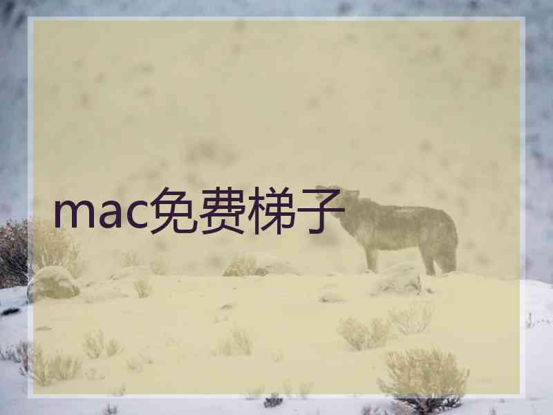 mac免费梯子