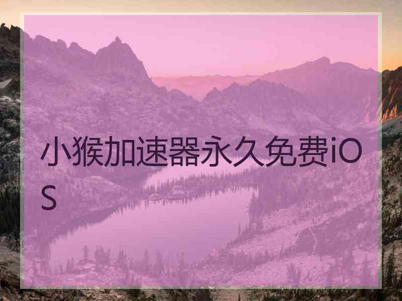 小猴加速器永久免费iOS