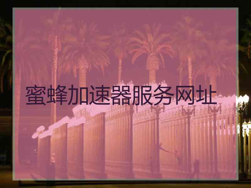 蜜蜂加速器服务网址
