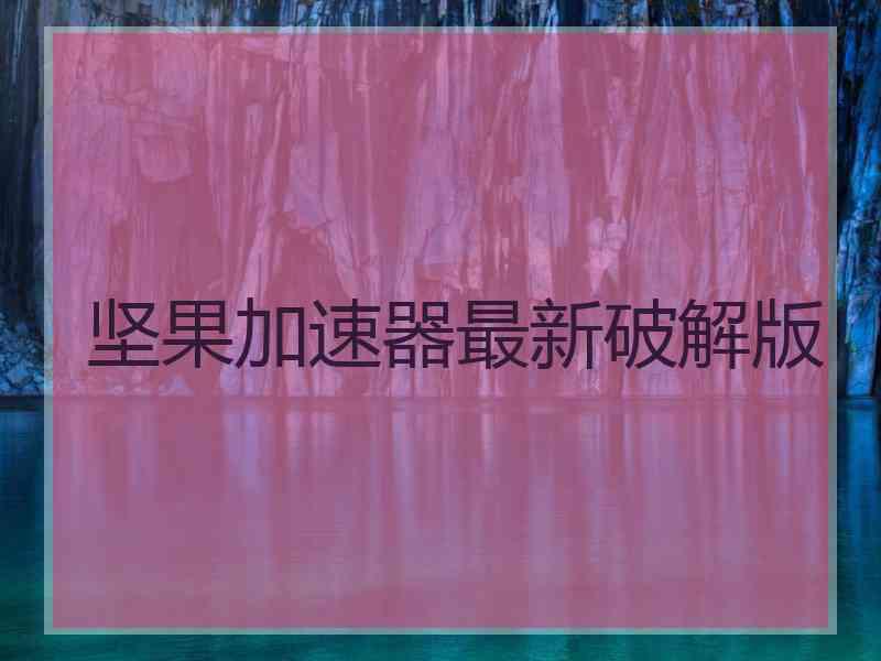 坚果加速器最新破解版