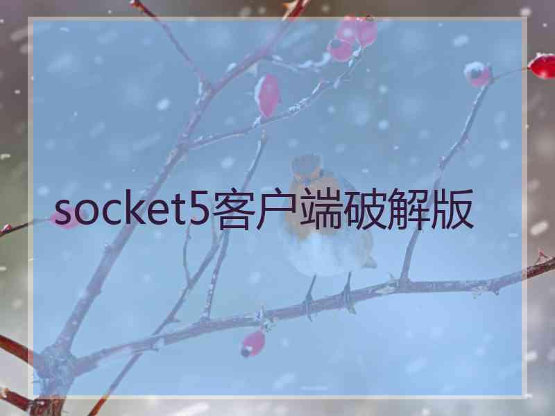 socket5客户端破解版
