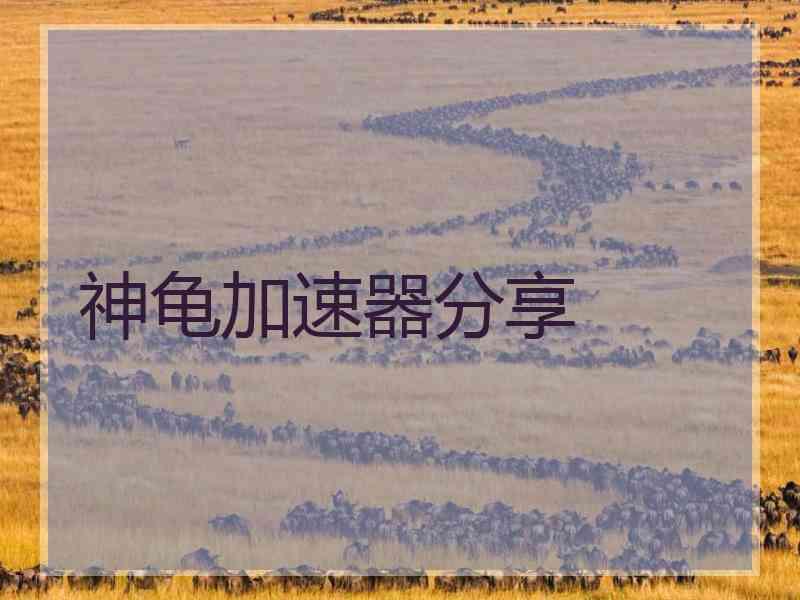 神龟加速器分享