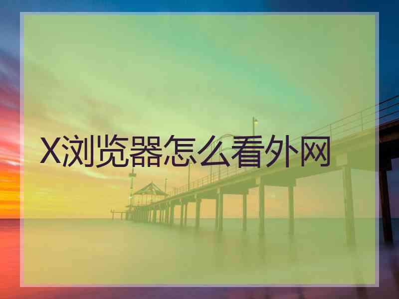X浏览器怎么看外网