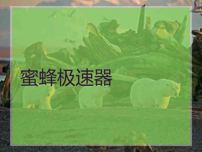 蜜蜂极速器
