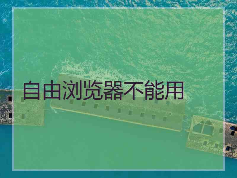 自由浏览器不能用