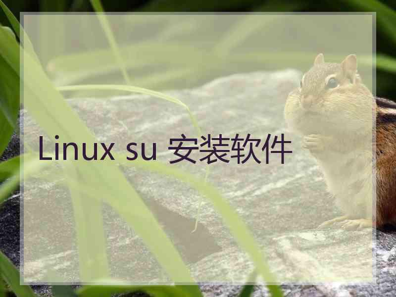 Linux su 安装软件