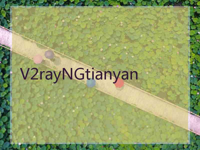 V2rayNGtianyan
