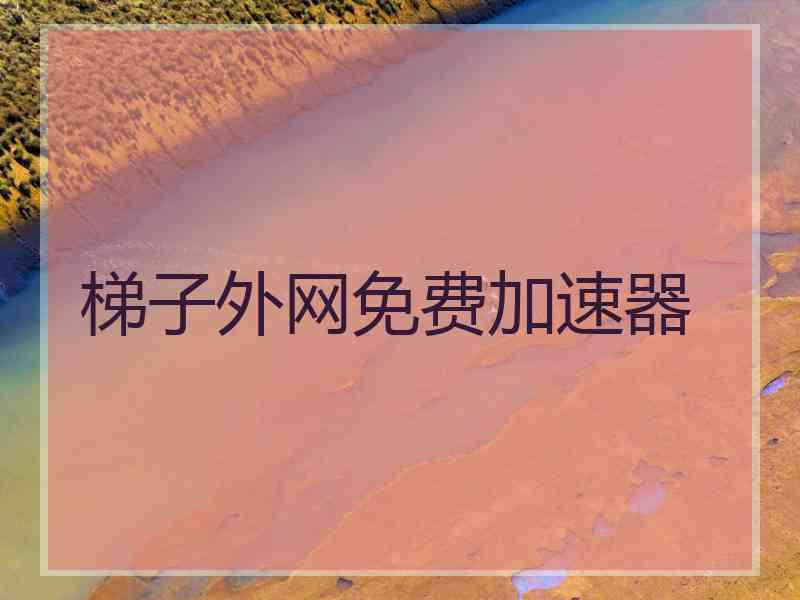 梯子外网免费加速器