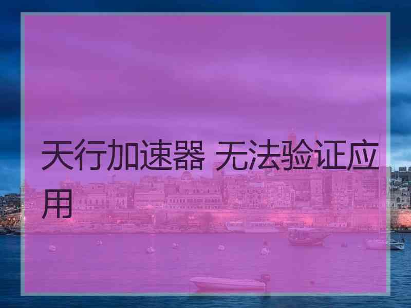 天行加速器 无法验证应用