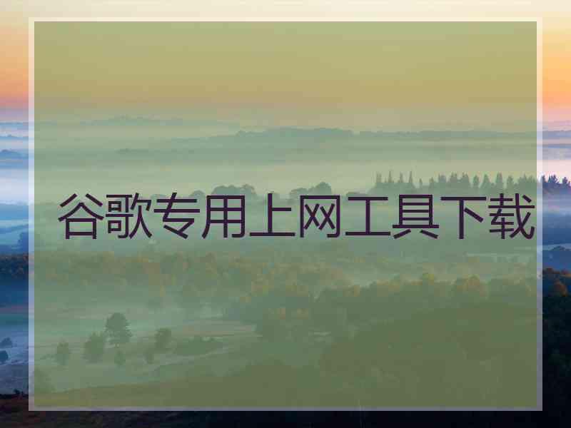 谷歌专用上网工具下载