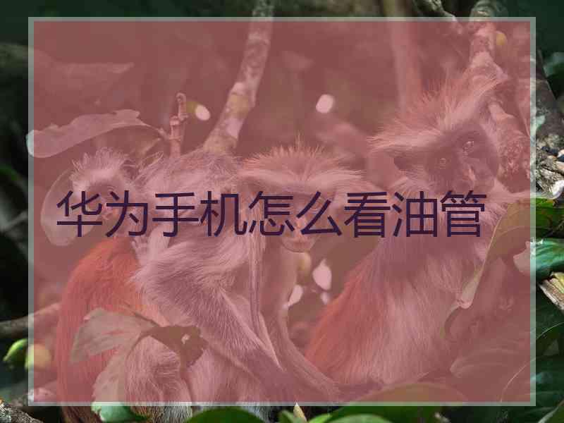 华为手机怎么看油管