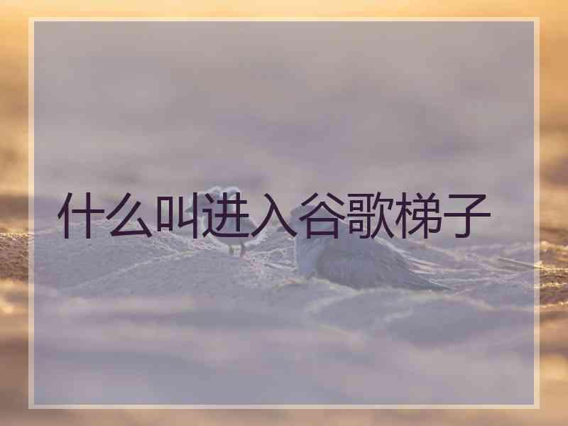 什么叫进入谷歌梯子
