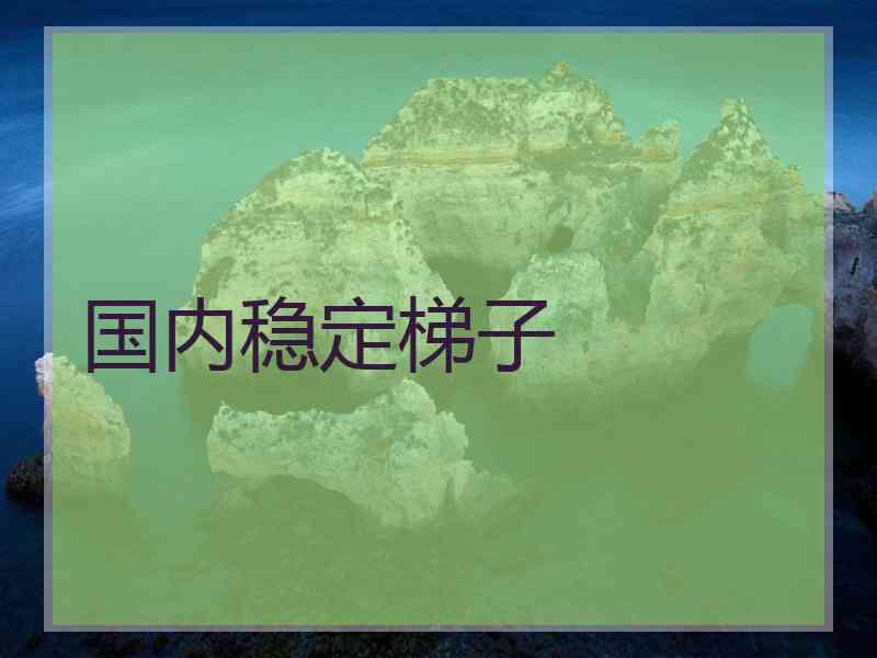 国内稳定梯子