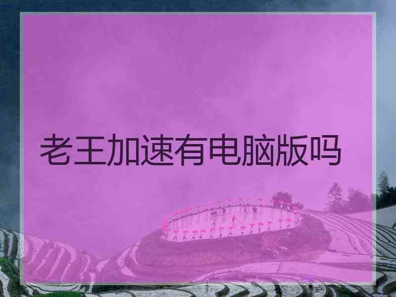老王加速有电脑版吗