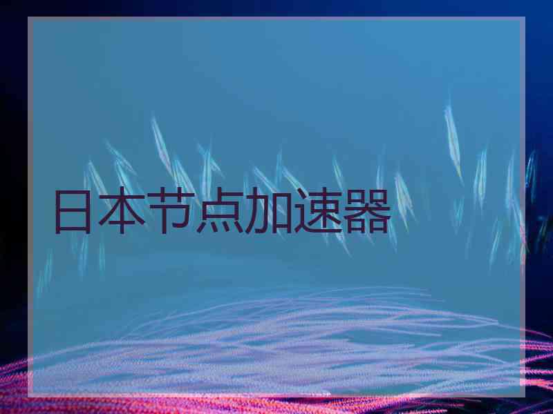 日本节点加速器