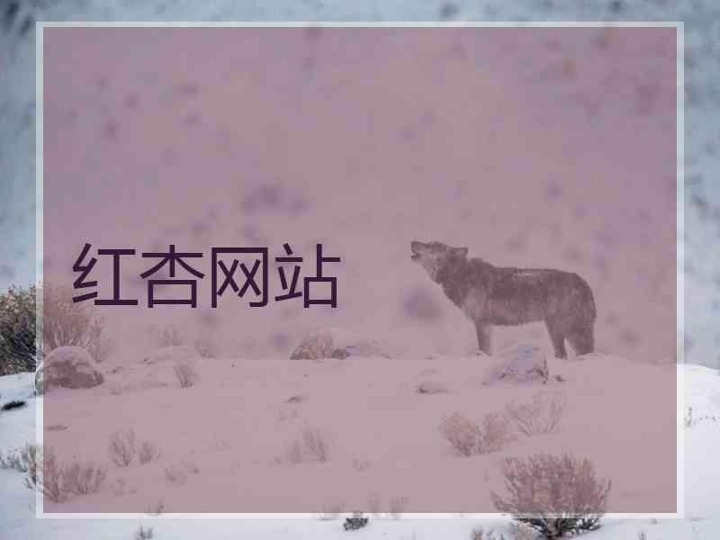 红杏网站