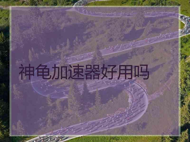 神龟加速器好用吗