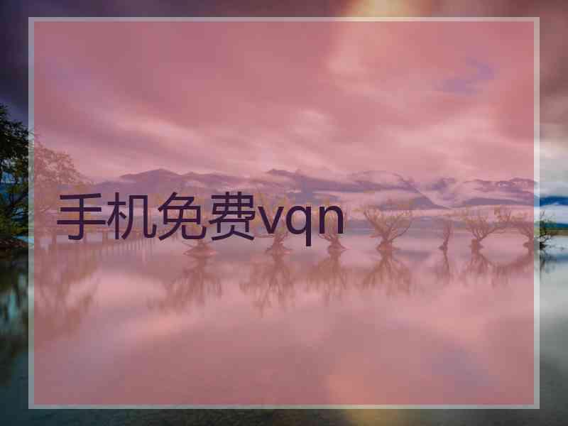 手机免费vqn