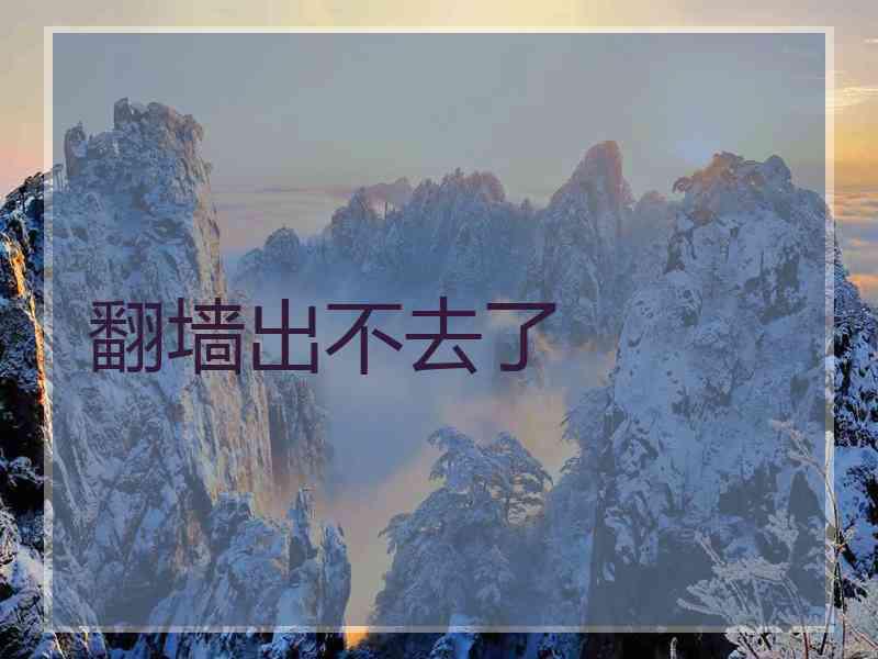 翻墙出不去了