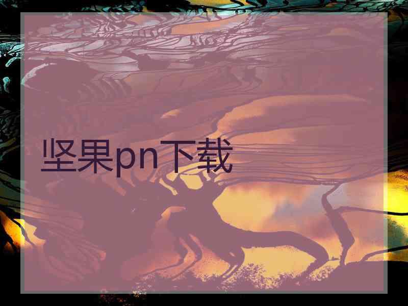 坚果pn下载