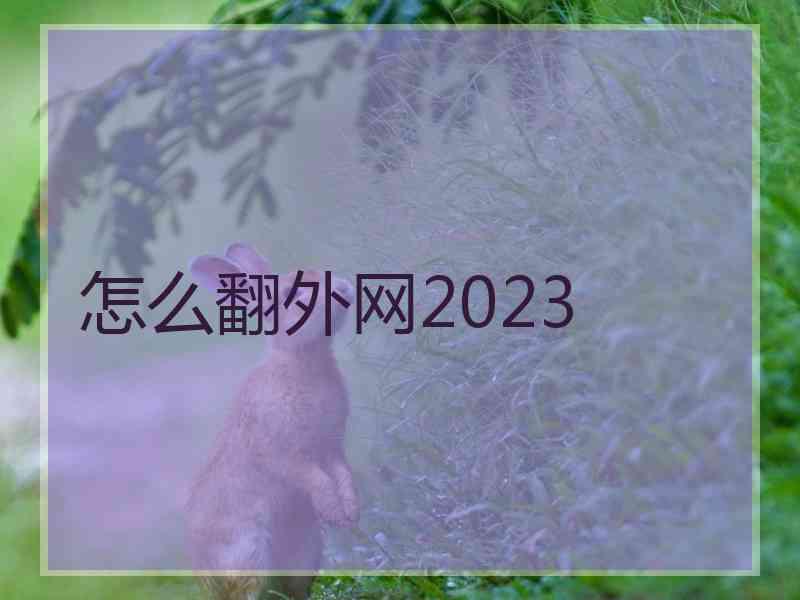 怎么翻外网2023