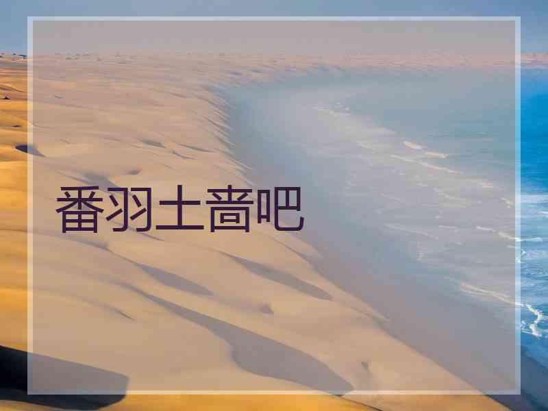 番羽土啬吧