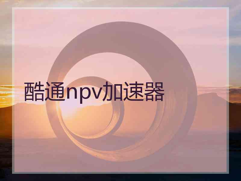 酷通npv加速器