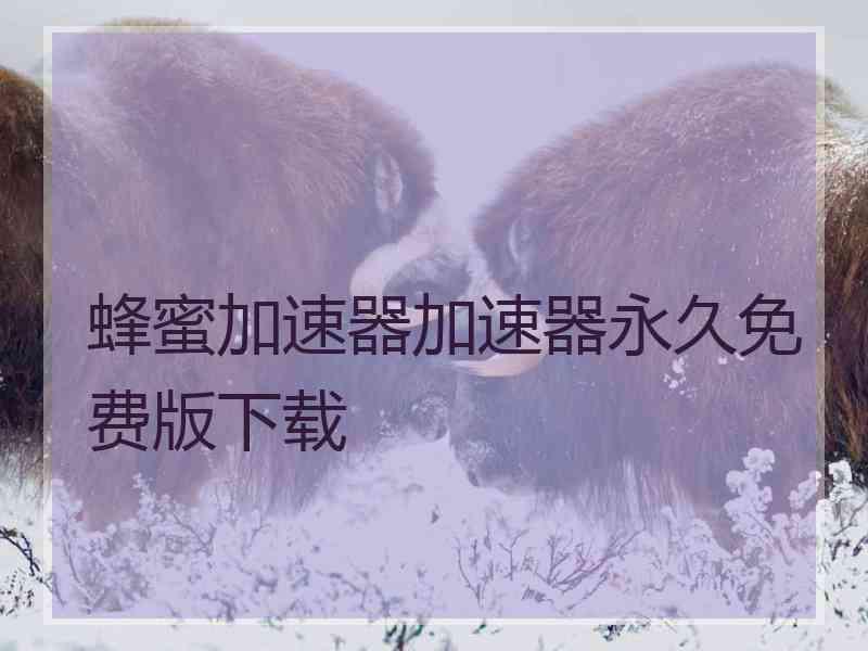 蜂蜜加速器加速器永久免费版下载