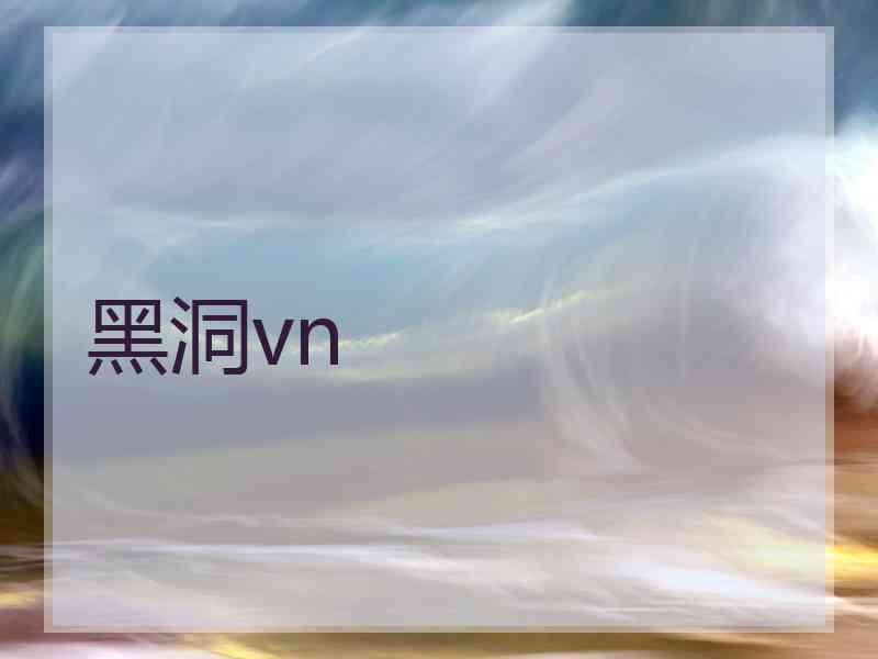 黑洞vn
