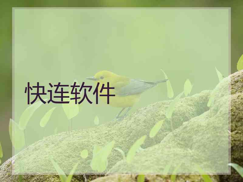 快连软件