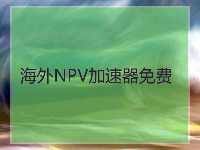 海外NPV加速器免费