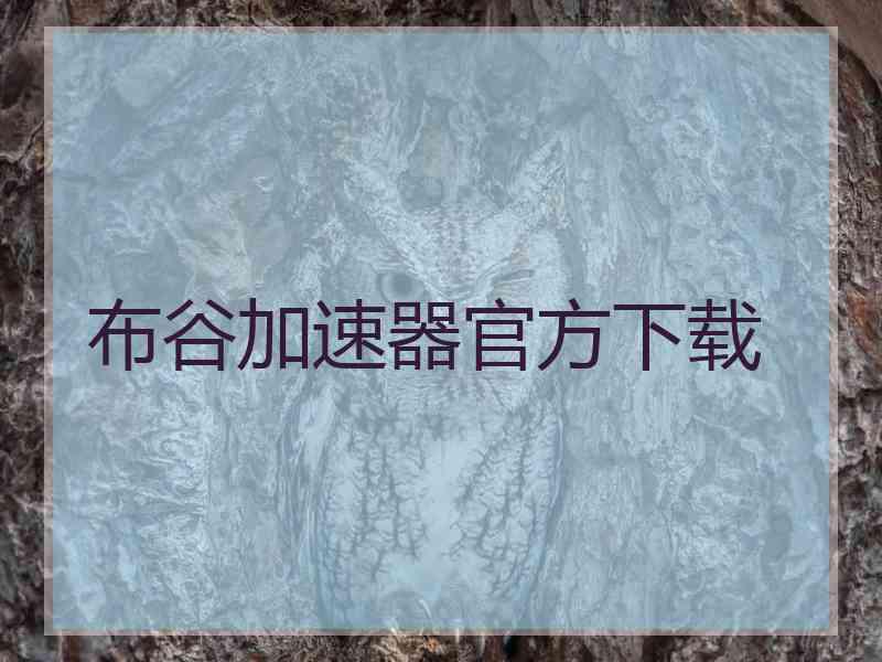 布谷加速器官方下载