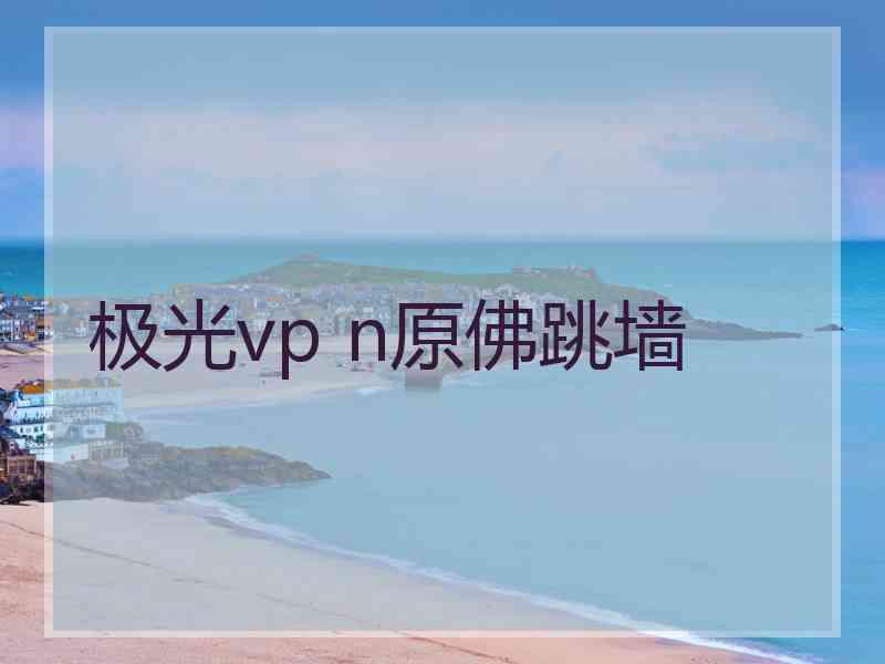 极光vp n原佛跳墙