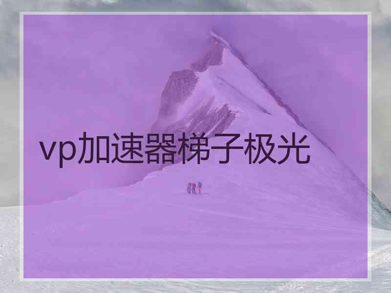 vp加速器梯子极光