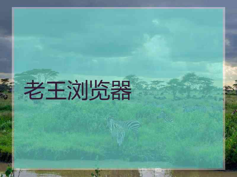 老王浏览器