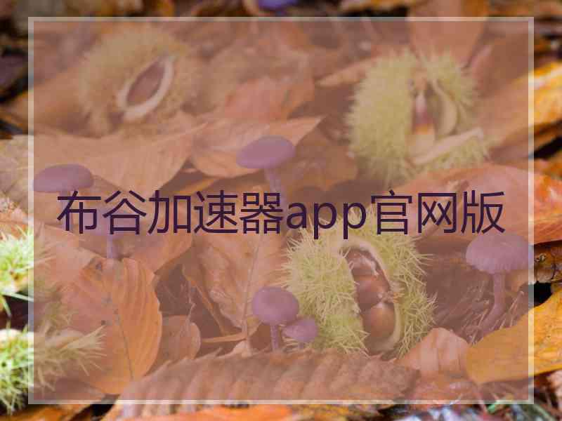 布谷加速器app官网版