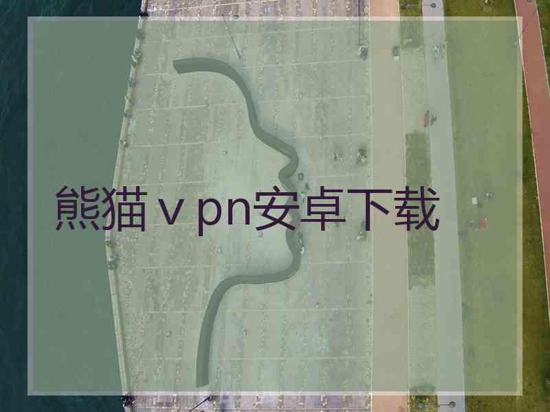 熊猫ⅴpn安卓下载
