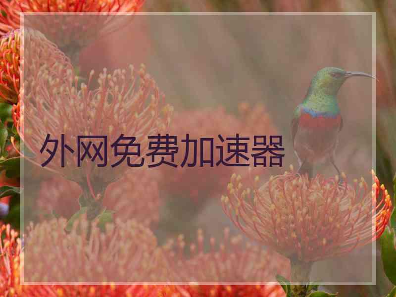 外网免费加速器