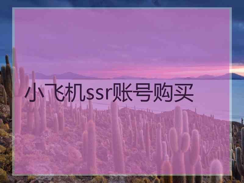 小飞机ssr账号购买