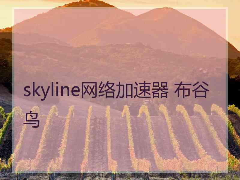 skyline网络加速器 布谷鸟
