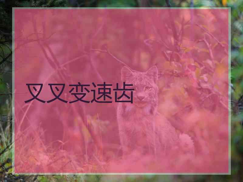 叉叉变速齿