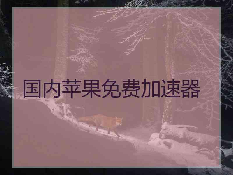 国内苹果免费加速器