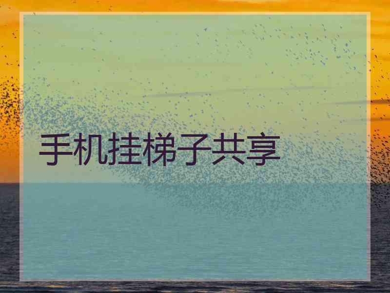 手机挂梯子共享