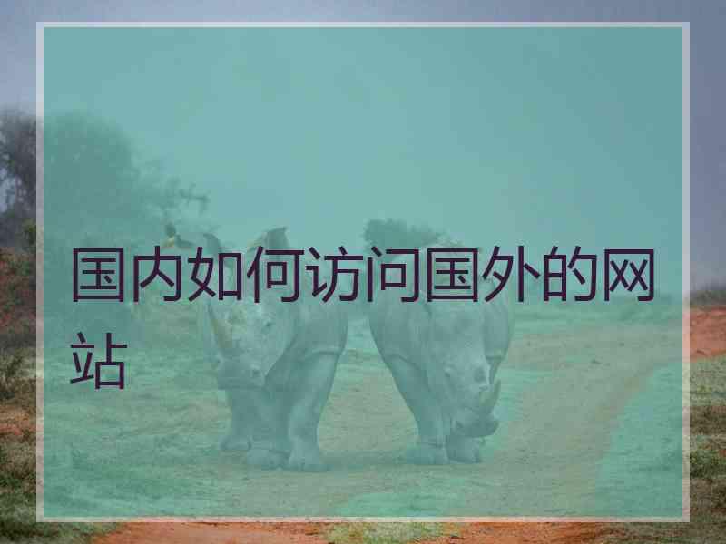 国内如何访问国外的网站