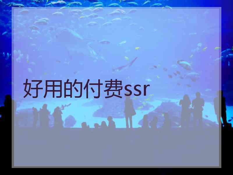 好用的付费ssr