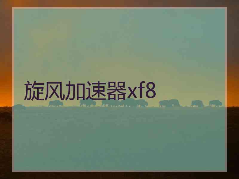 旋风加速器xf8